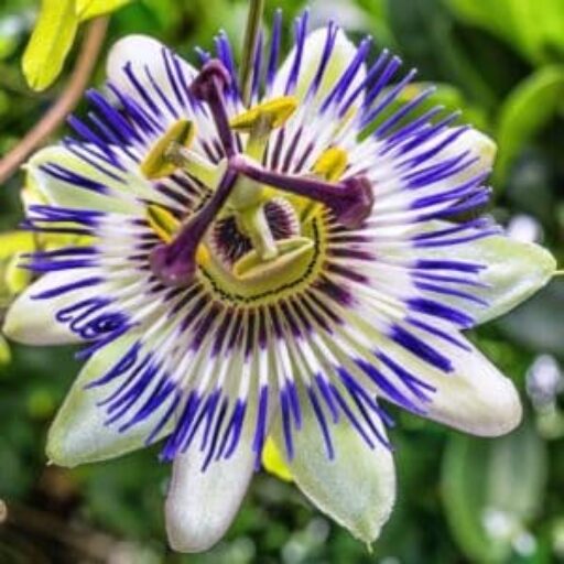 Location de Photobooth à Reims – Événements, Mariages, Soirées